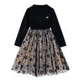 Load image into Gallery viewer, Girls Princess Dress Black Knitting Mesh Splicing Tutu Dress