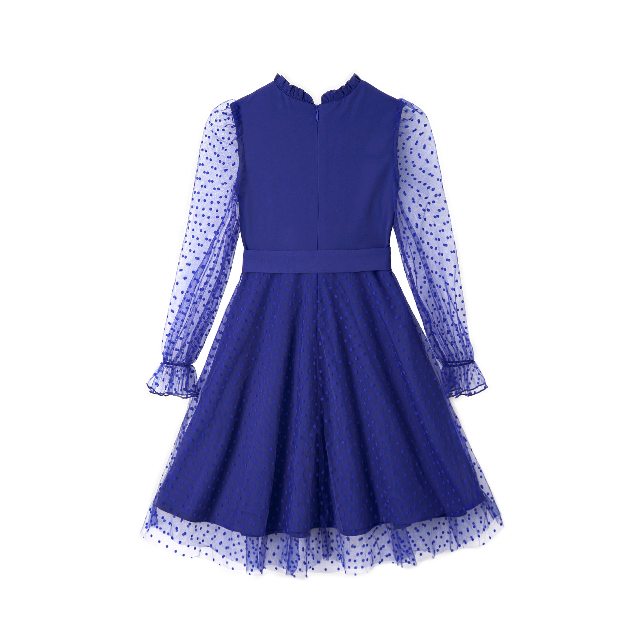 Rolanko Girls Contrast Mesh Puff Long Sleeve A-Line Dress with Belt