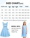 Load image into Gallery viewer, Rolanko Girls Ruffle Sleeve Square Neck Hollow Out Eyelet A Line Beach Vacation dress
