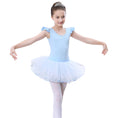 Load image into Gallery viewer, Rolanko Girl‘s Ballet Tutus Dance Dress
